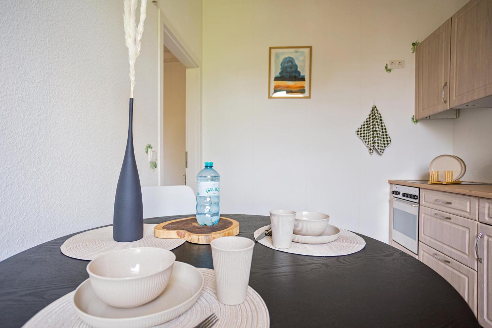 Boarding & Monteur Apartment Cmtz شيمنيتز المظهر الخارجي الصورة